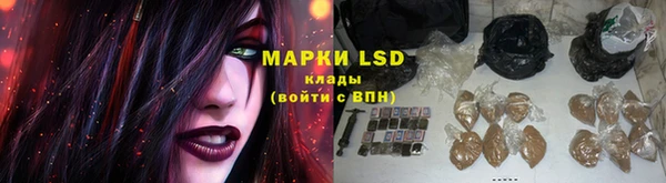 мяу мяу мука Ростов