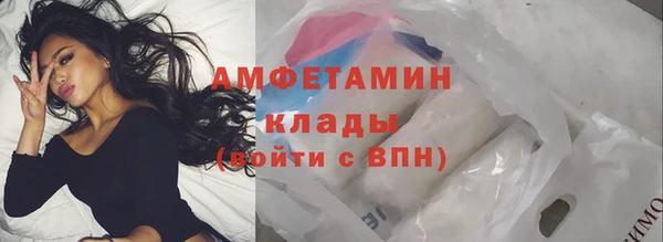 индика Рославль